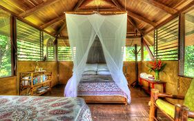 Iguana Lodge Beach Resort&Spa