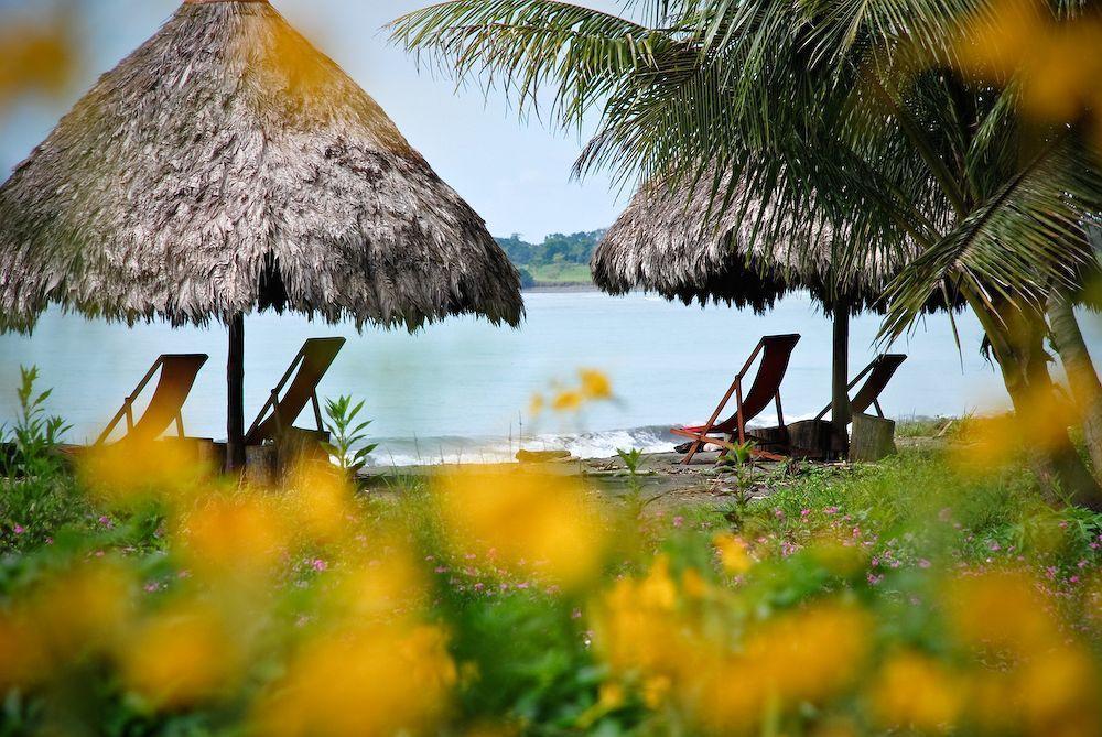 Iguana Lodge Beach Resort&Spa Puerto Jiménez Exterior foto